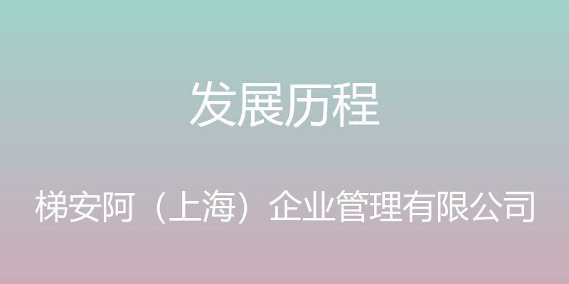 发展历程 - 梯安阿（上海）企业管理有限公司