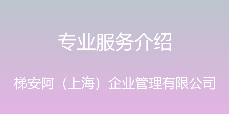 专业服务介绍 - 梯安阿（上海）企业管理有限公司