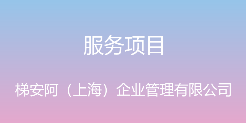 服务项目 - 梯安阿（上海）企业管理有限公司