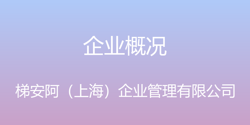 企业概况 - 梯安阿（上海）企业管理有限公司