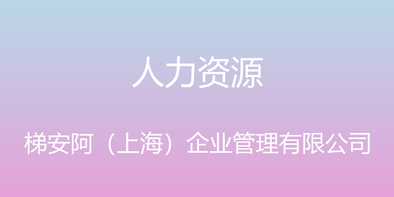 人力资源 - 梯安阿（上海）企业管理有限公司