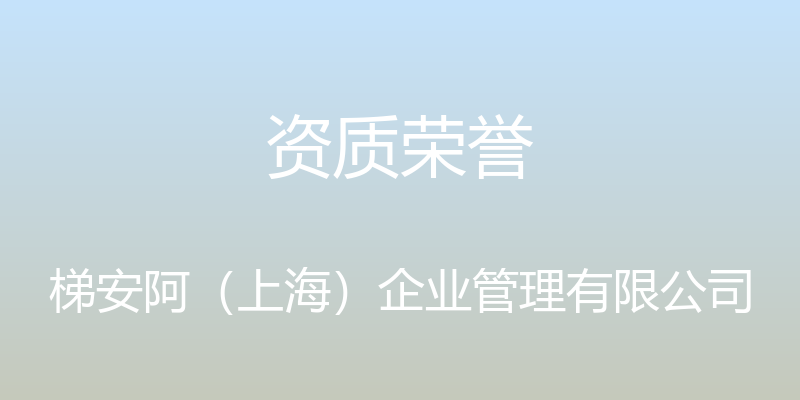 资质荣誉 - 梯安阿（上海）企业管理有限公司