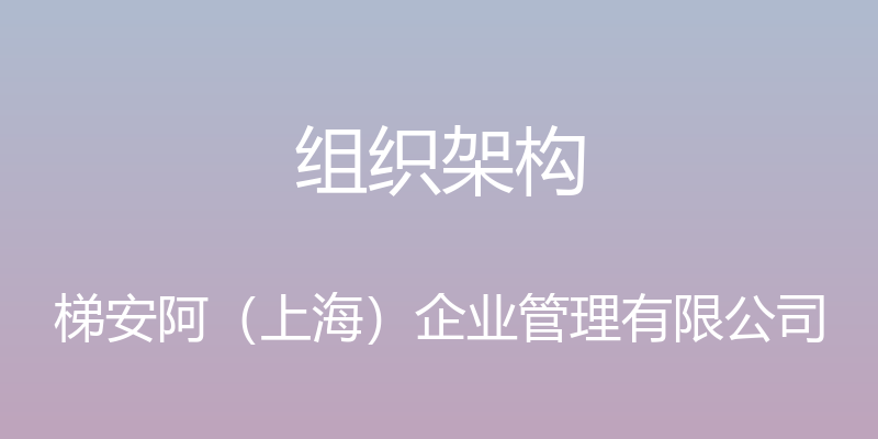 组织架构 - 梯安阿（上海）企业管理有限公司